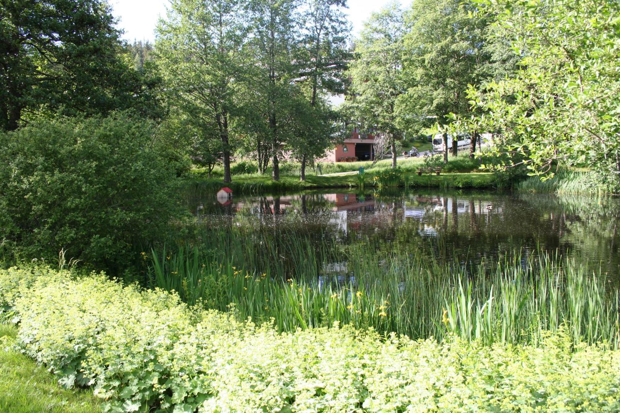 Black-Forest Holiday - Ferienresort Am Schluchsee Zewnętrze zdjęcie